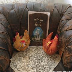 Razkritje spominske plošče dr. Mirka Lenaršiča 22